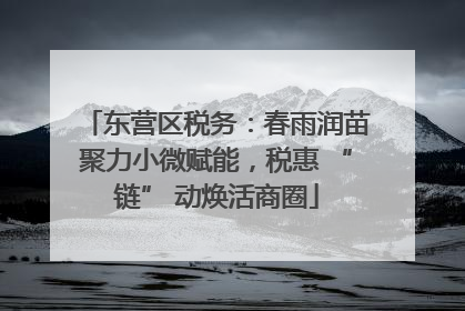 东营区税务：春雨润苗聚力小微赋能，税惠 “链” 动焕活商圈