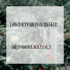 两市ETF融券余额环比减少6693.63万元