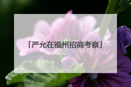 严允在福州招商考察