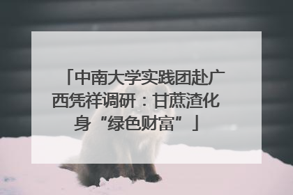 中南大学实践团赴广西凭祥调研：甘蔗渣化身“绿色财富”
