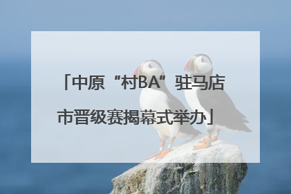 中原“村BA”驻马店市晋级赛揭幕式举办