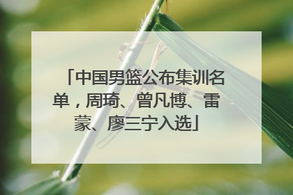 中国男篮公布集训名单，周琦、曾凡博、雷蒙、廖三宁入选