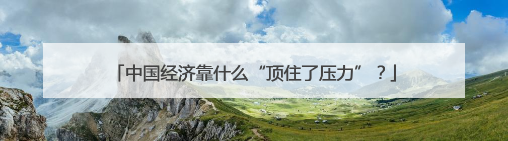 中国经济靠什么“顶住了压力”？