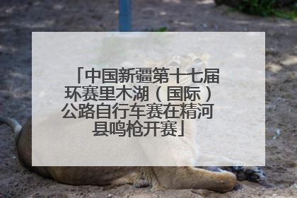 中国新疆第十七届环赛里木湖（国际）公路自行车赛在精河县鸣枪开赛