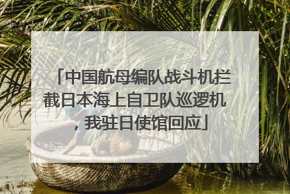中国航母编队战斗机拦截日本海上自卫队巡逻机，我驻日使馆回应
