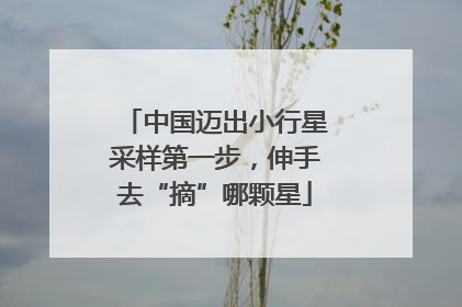 中国迈出小行星采样第一步，伸手去“摘”哪颗星