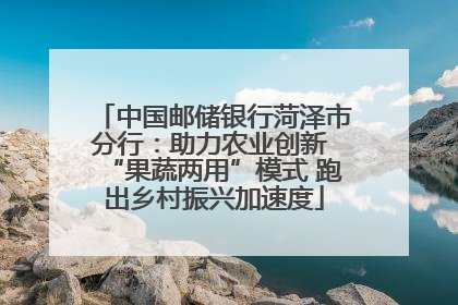 中国邮储银行菏泽市分行：助力农业创新 “果蔬两用”模式 跑出乡村振兴加速度