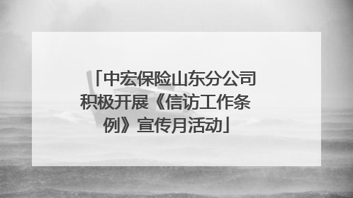 中宏保险山东分公司积极开展《信访工作条例》宣传月活动