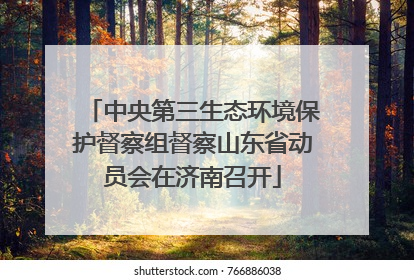 中央第三生态环境保护督察组督察山东省动员会在济南召开