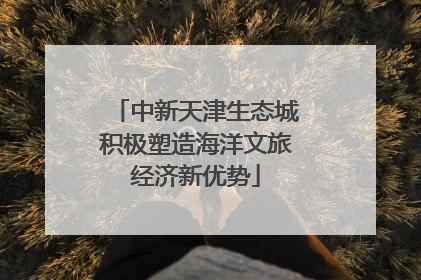 中新天津生态城积极塑造海洋文旅经济新优势