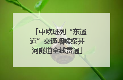 中欧班列“东通道”交通咽喉绥芬河隧道全线贯通