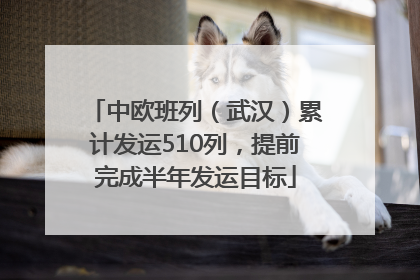 中欧班列（武汉）累计发运510列，提前完成半年发运目标