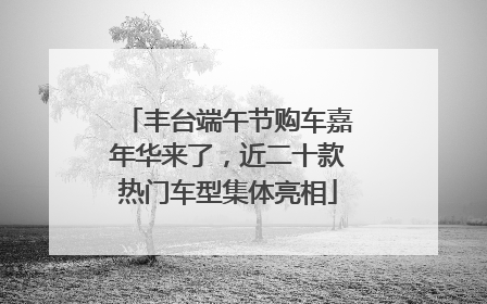 丰台端午节购车嘉年华来了，近二十款热门车型集体亮相