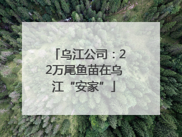 乌江公司：22万尾鱼苗在乌江“安家”