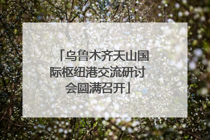 乌鲁木齐天山国际枢纽港交流研讨会圆满召开