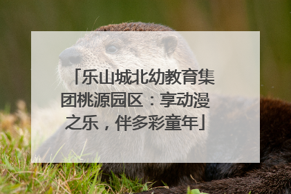 乐山城北幼教育集团桃源园区：享动漫之乐，伴多彩童年