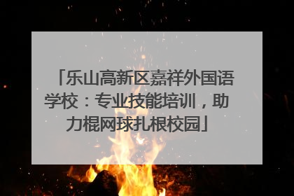 乐山高新区嘉祥外国语学校：专业技能培训，助力棍网球扎根校园