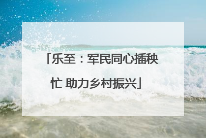 乐至：军民同心插秧忙 助力乡村振兴