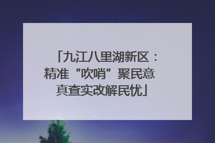 九江八里湖新区：精准“吹哨”聚民意 真查实改解民忧