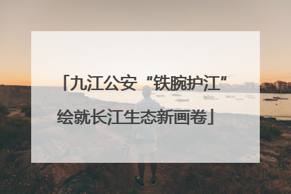 九江公安“铁腕护江”绘就长江生态新画卷