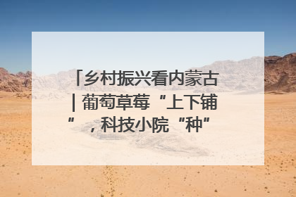 乡村振兴看内蒙古｜葡萄草莓“上下铺”，科技小院“种”出三倍效益