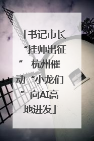 书记市长“挂帅出征” 杭州催动“小龙们”向AI高地进发