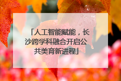 人工智能赋能，长沙跨学科融合开启公共美育新进程