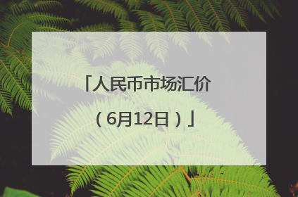 人民币市场汇价（6月12日）