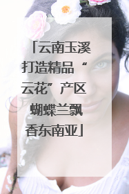 云南玉溪打造精品“云花”产区 蝴蝶兰飘香东南亚