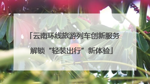 云南环线旅游列车创新服务 解锁“轻装出行”新体验