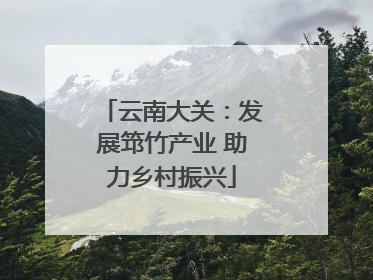 云南大关：发展筇竹产业 助力乡村振兴