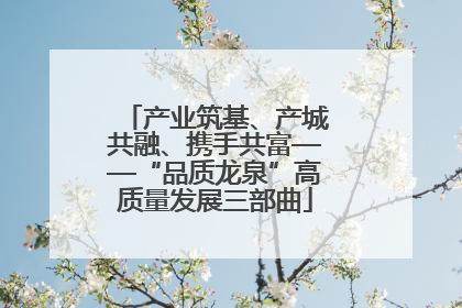 产业筑基、产城共融、携手共富——“品质龙泉”高质量发展三部曲