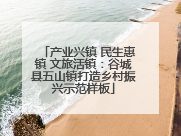 产业兴镇 民生惠镇 文旅活镇：谷城县五山镇打造乡村振兴示范样板