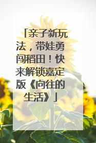 亲子新玩法，带娃勇闯稻田！快来解锁嘉定版《向往的生活》