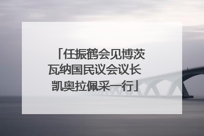 任振鹤会见博茨瓦纳国民议会议长凯奥拉佩采一行