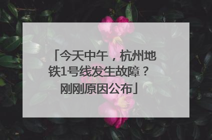 今天中午，杭州地铁1号线发生故障？刚刚原因公布