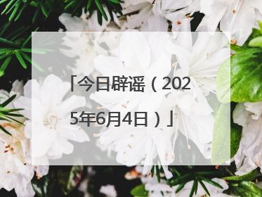 今日辟谣（2025年6月4日）