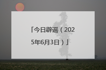 今日辟谣（2025年6月3日）