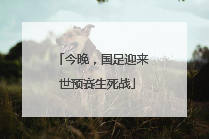 今晚，国足迎来世预赛生死战