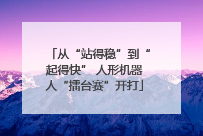 从“站得稳”到“起得快” 人形机器人“擂台赛”开打