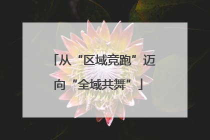从“区域竞跑”迈向“全域共舞”