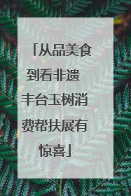 从品美食到看非遗 丰台玉树消费帮扶展有惊喜