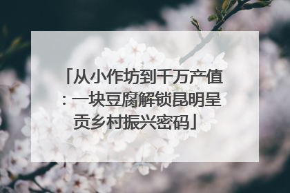 从小作坊到千万产值：一块豆腐解锁昆明呈贡乡村振兴密码