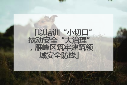 以培训“小切口”撬动安全“大治理”，雁峰区筑牢建筑领域安全防线