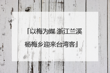 以梅为媒 浙江兰溪杨梅乡迎来台湾客