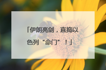 伊朗亮剑，直捣以色列“命门”！