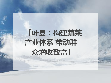 叶县：构建蔬菜产业体系 带动群众增收致富