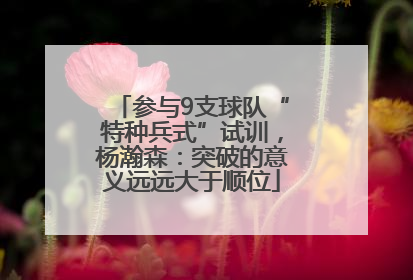参与9支球队“特种兵式”试训，杨瀚森：突破的意义远远大于顺位