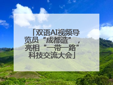 双语AI视频导览员“成都造”，亮相“一带一路”科技交流大会
