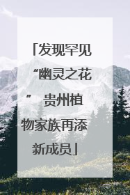 发现罕见“幽灵之花” 贵州植物家族再添新成员